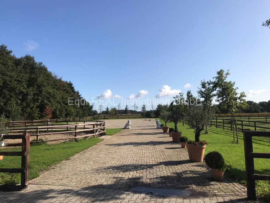 Reitanlage für Zucht, Sport und Reha