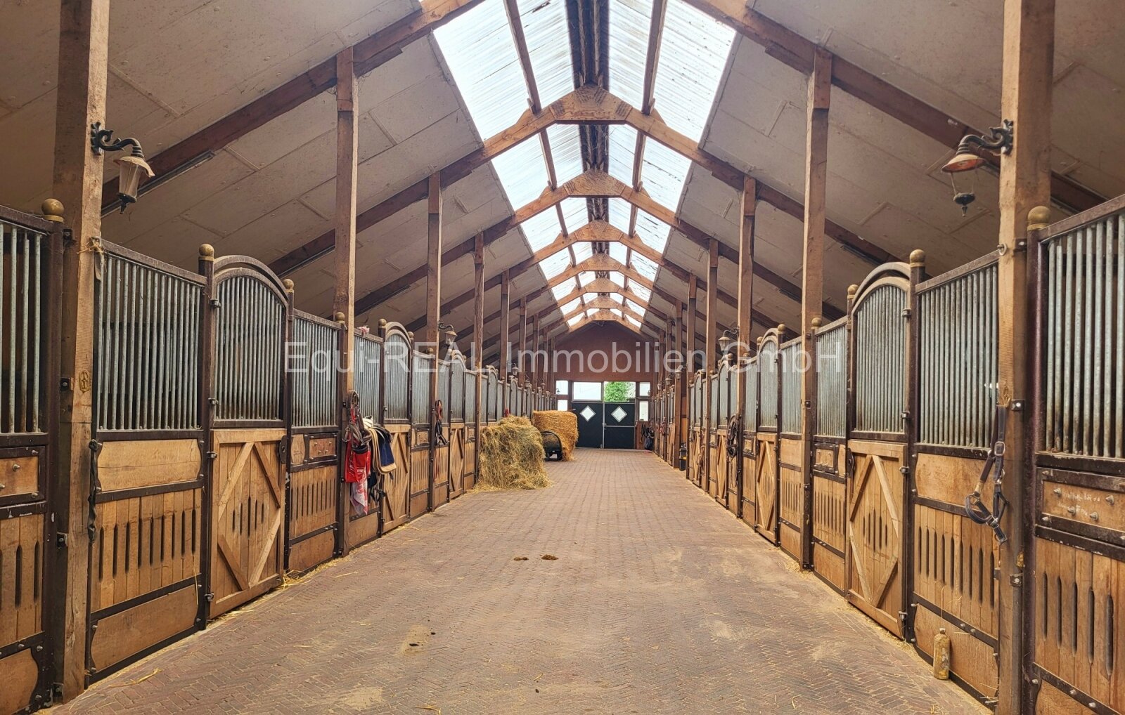 Haselünne: Reitanlage für Zucht, Sport und Reha Haselünne: Reitanlage für Zucht, Sport und Reha