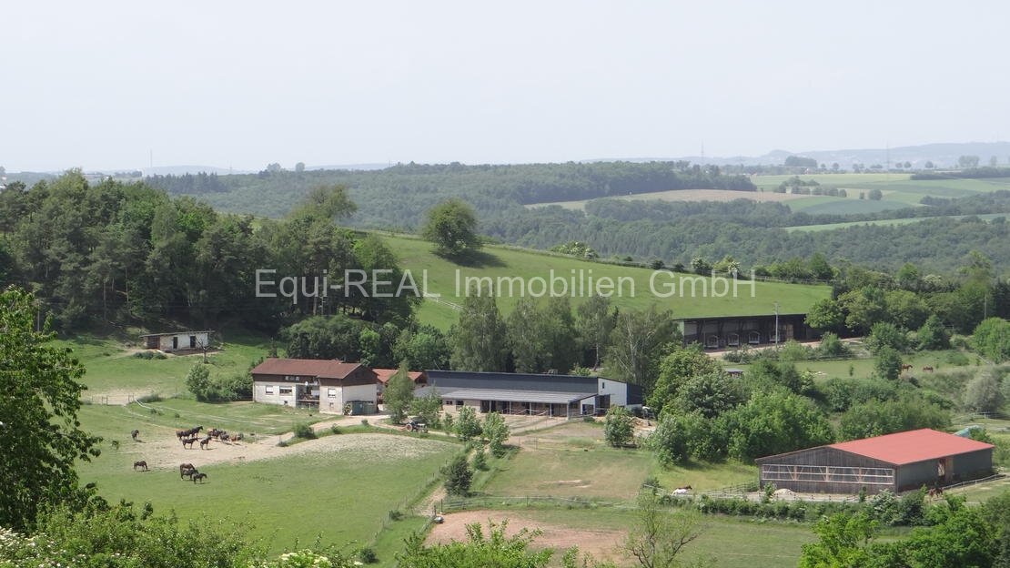 Zweibrücken: Reitanlage mit 18ha Eigengrund bei Zweibrücken Zweibrücken: Reitanlage mit 18ha Eigengrund bei Zweibrücken